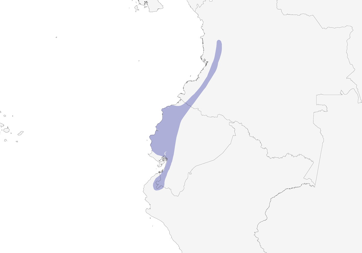 Orange-crowned Euphonia, Distribution 1