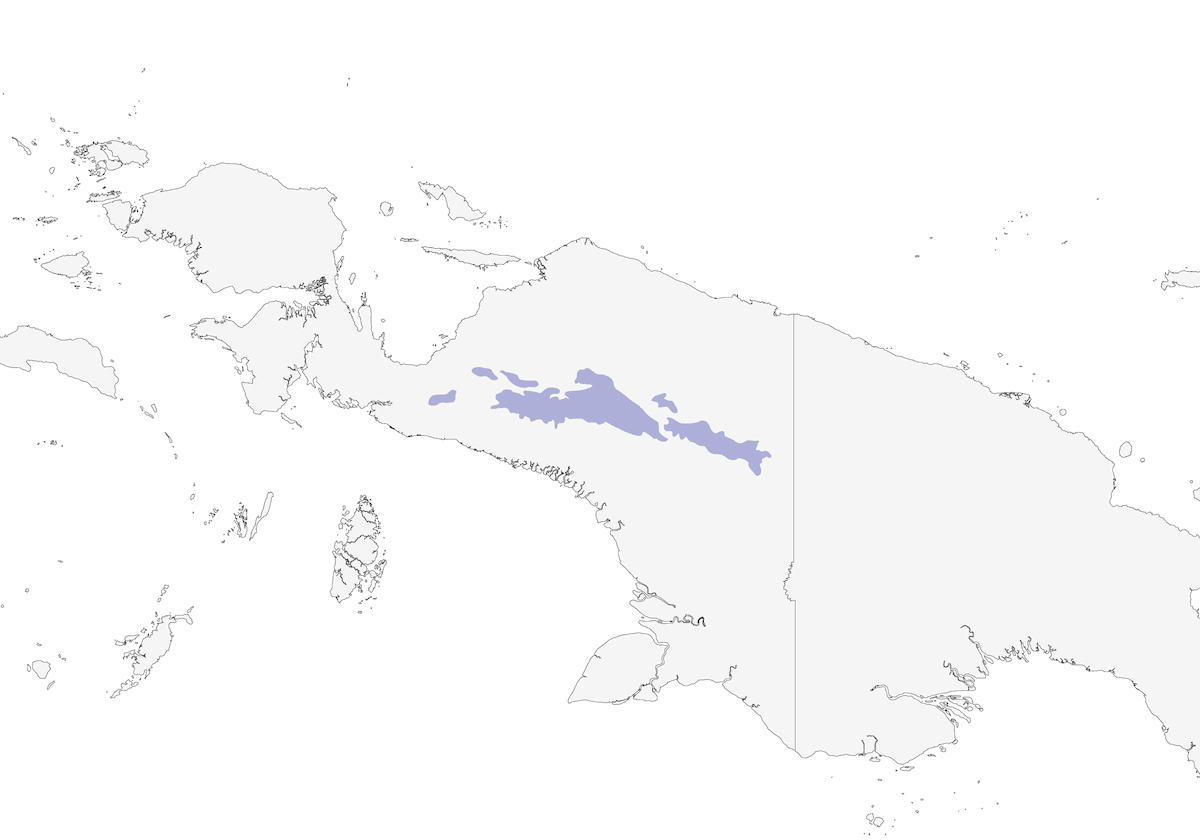 Orange-cheeked Honeyeater, Distribution 1