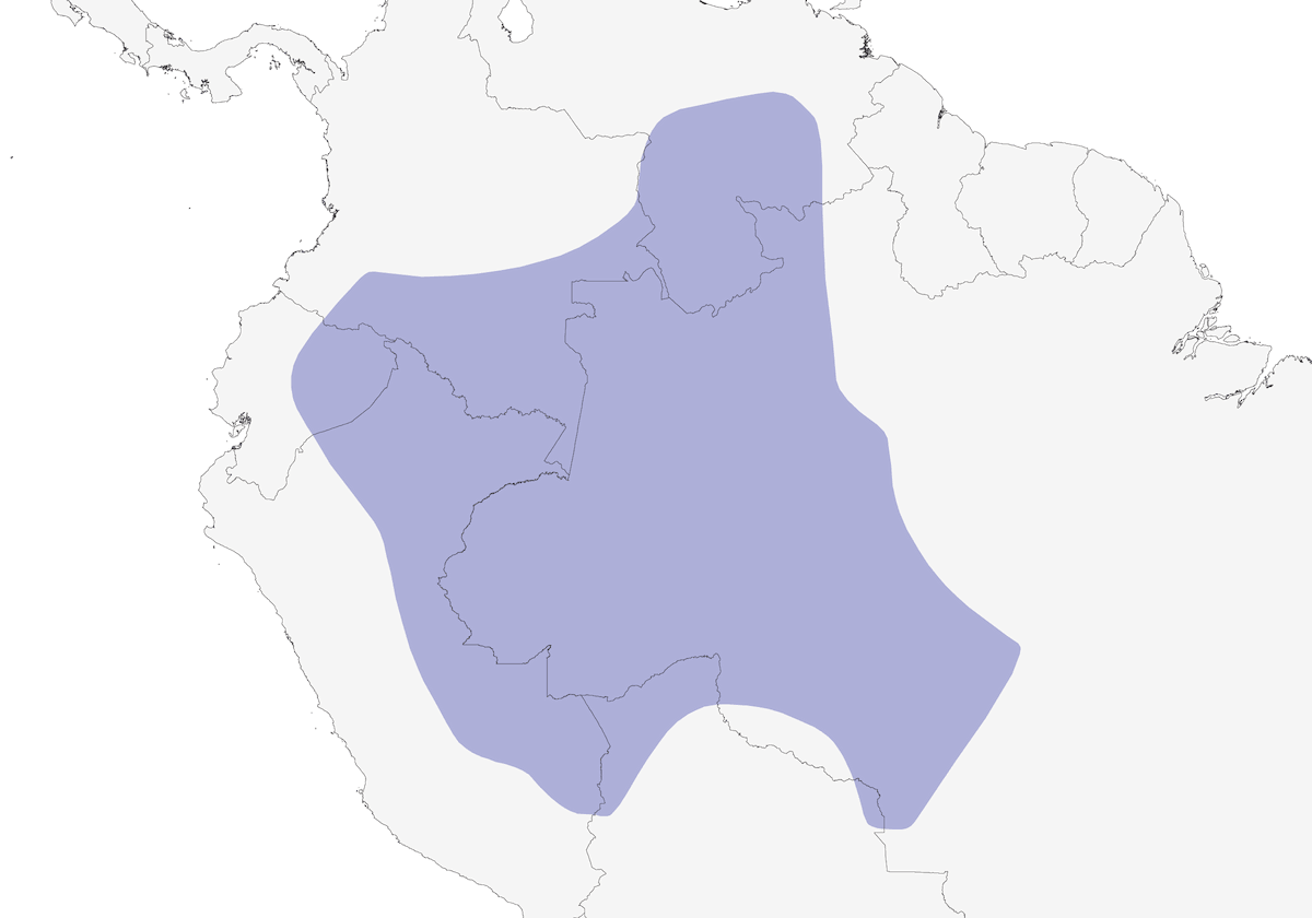 Loro caranaranja, Distribución 1