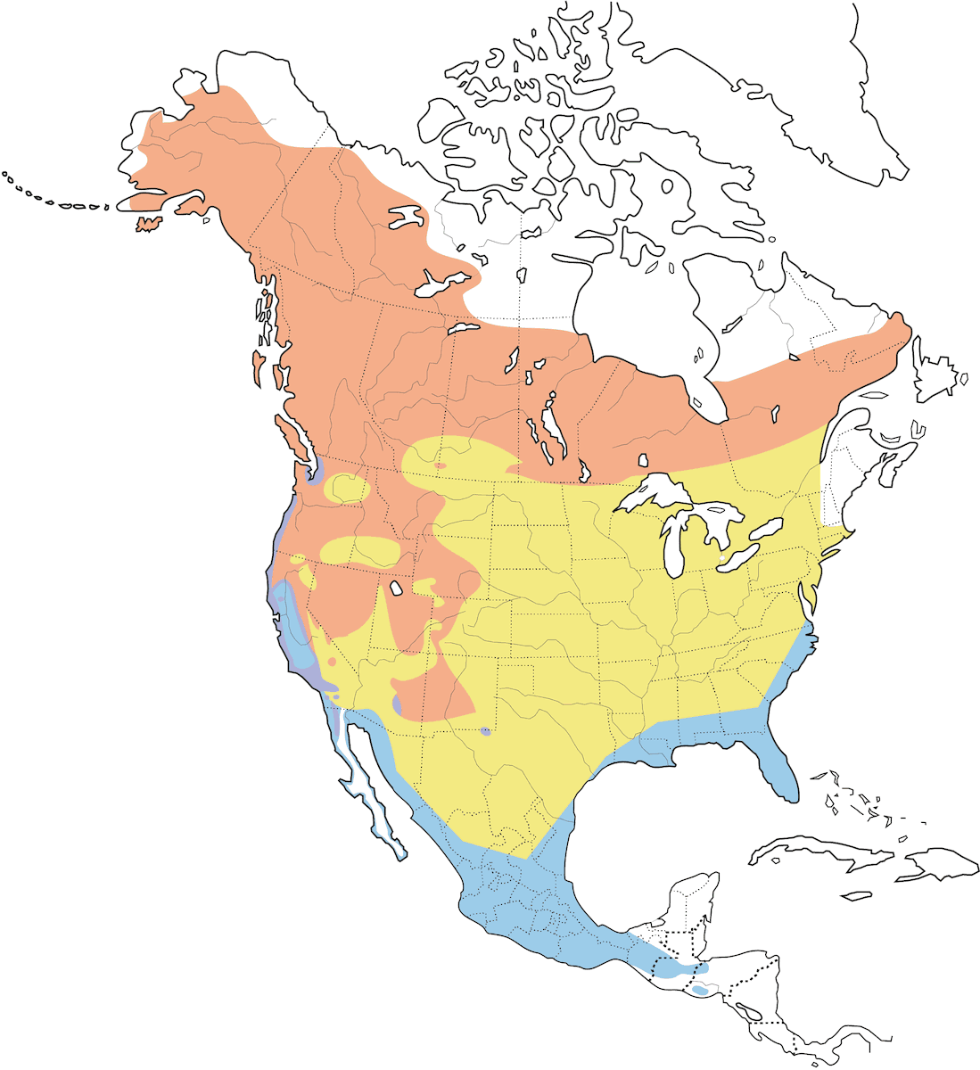Parula dalla corona arancione, Distribuzione 1