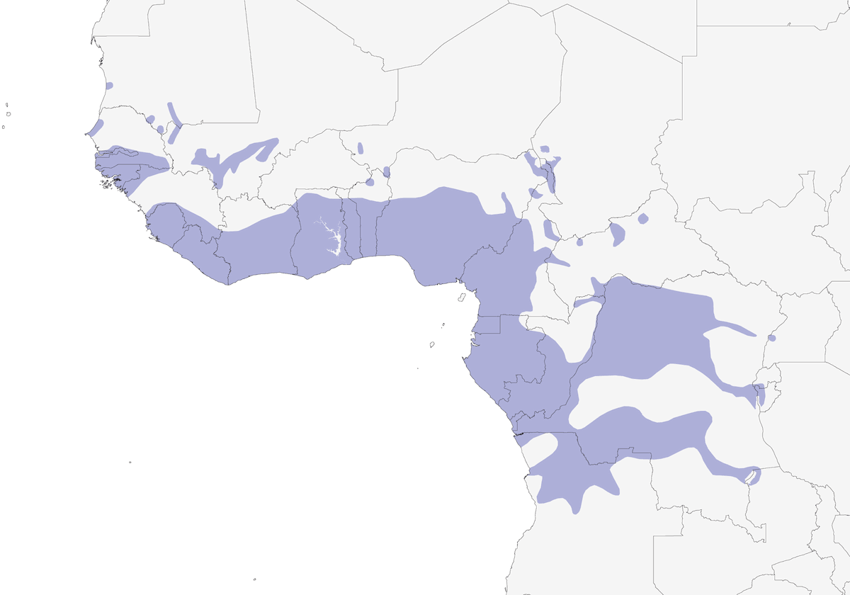 Estrilda guancearancio, Distribuzione 1