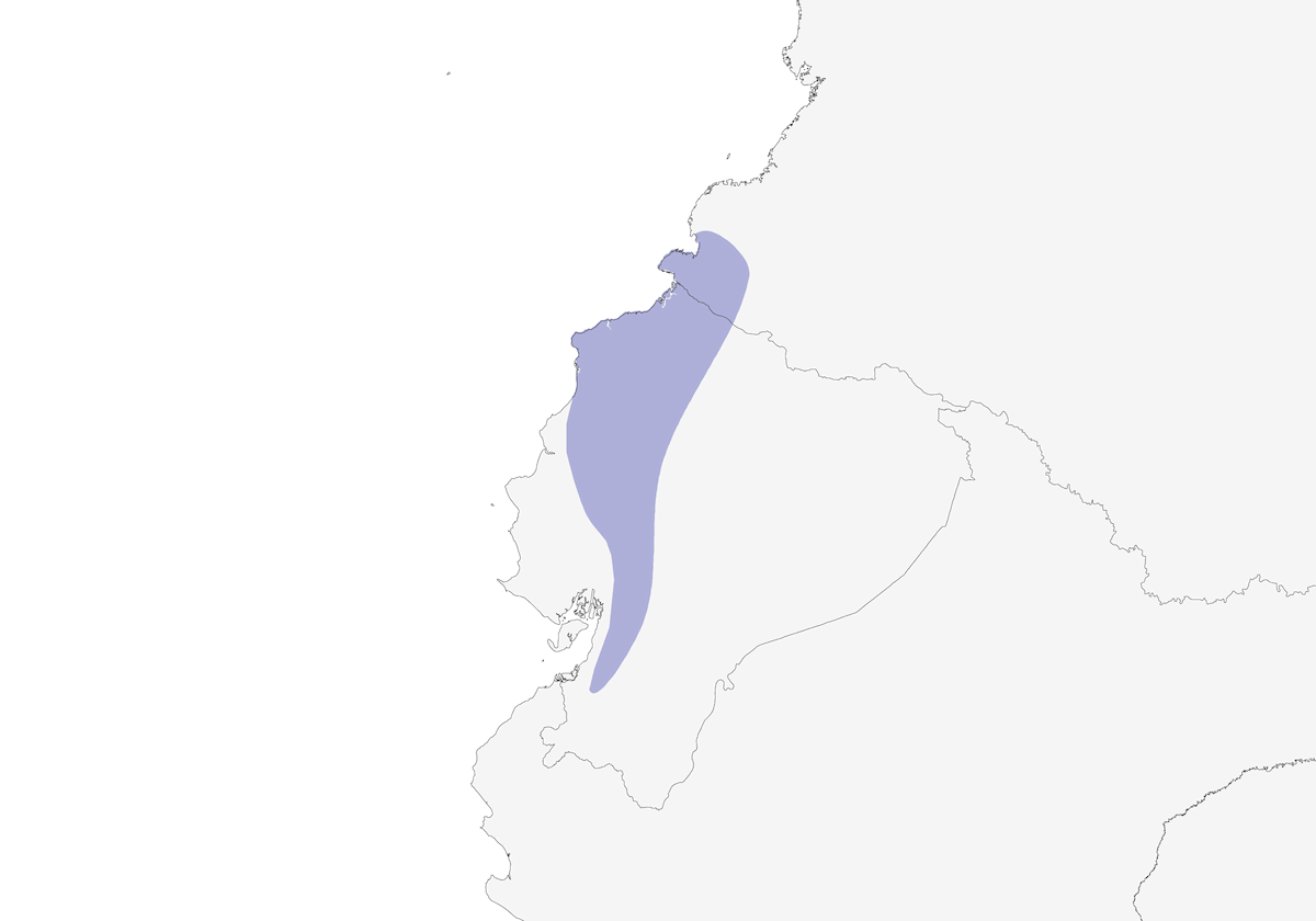 Barbudito Frentinaranja, Distribución 1