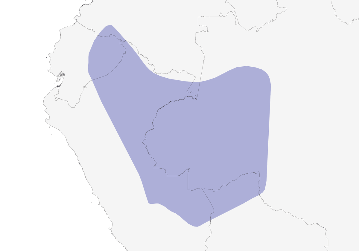 Copete anaranjado, Distribución 1