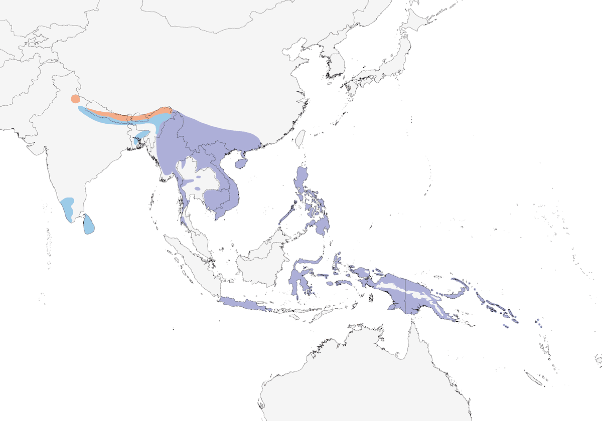 Oriental Hobby, Distribution 1