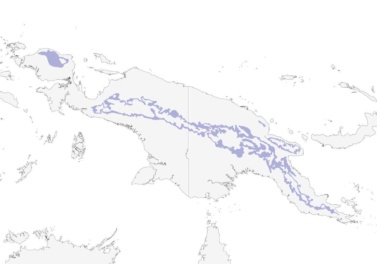 Melideco ornato, Distribuzione 1