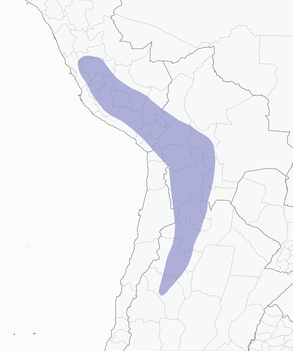Tinamo ornato, Distribuzione 1