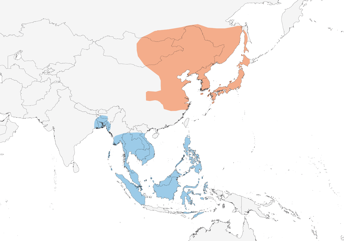 Carricero Oriental, Distribución 1