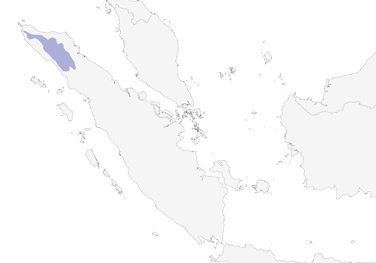 Aceh-Bülbül, Verbreitung 1