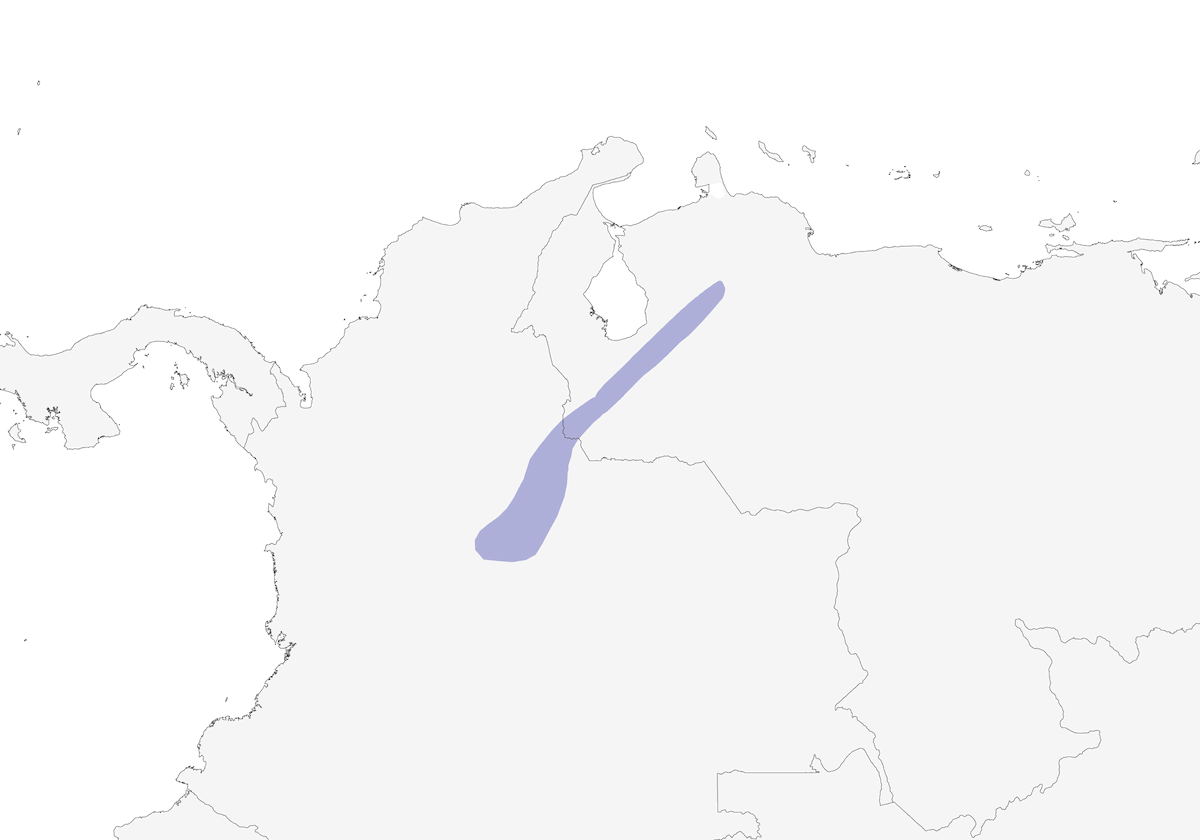 Heliángel gorginaranja, Distribución 1