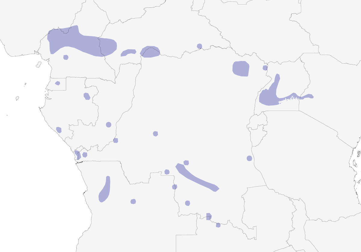 Suimanga de Copete Naranja, Distribución 1
