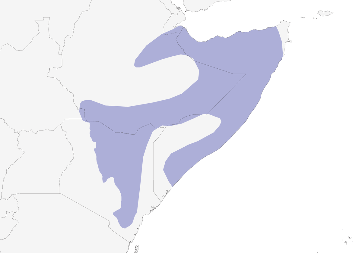 Somali Ostrich, Distribution 1