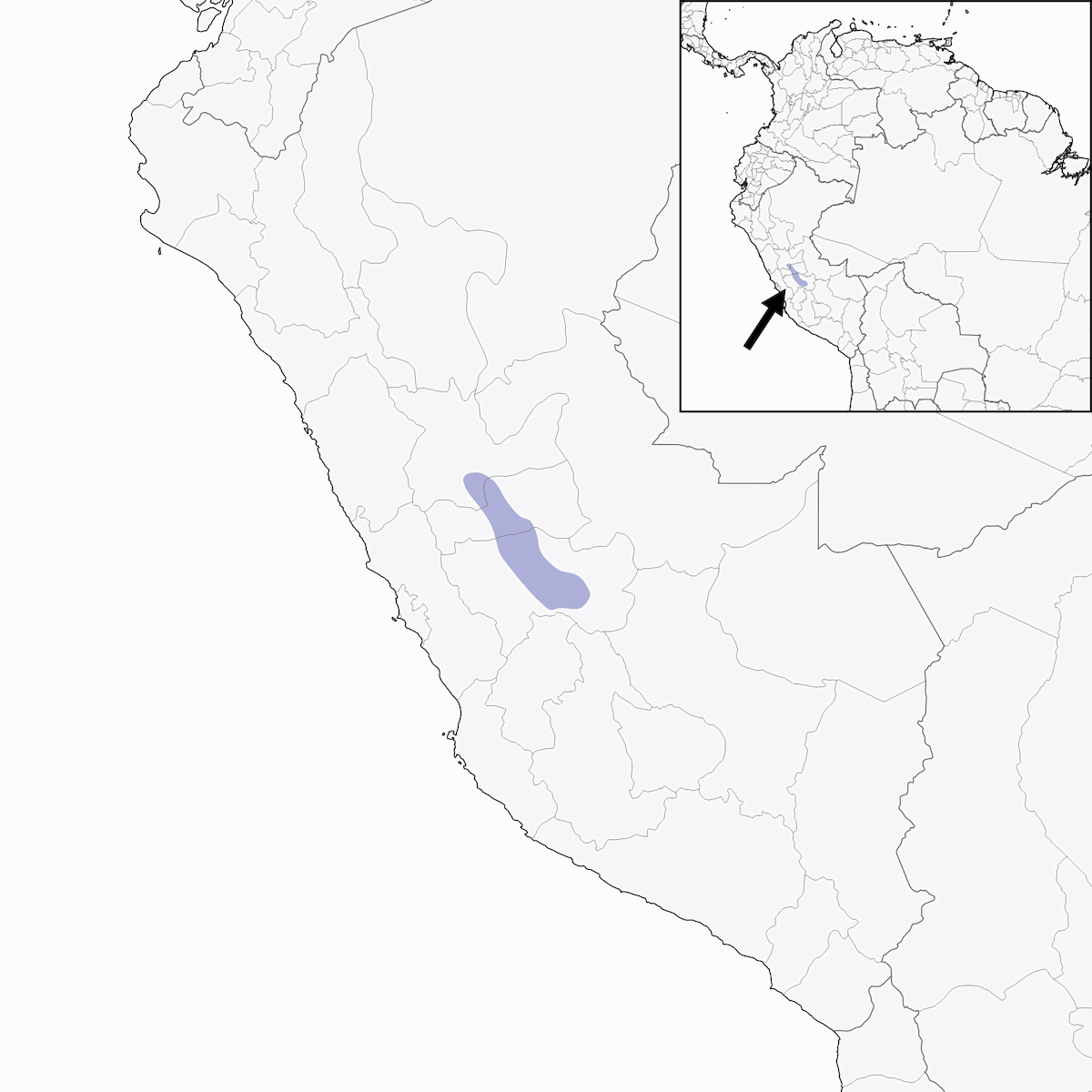 Oxapampa Antpitta, Distribution 1