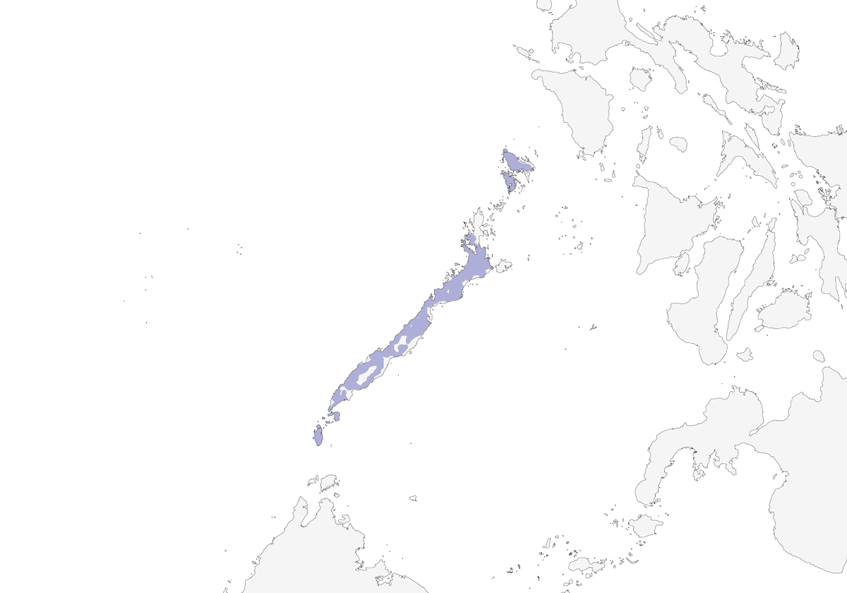 Palawan Blue Flycatcher, Distribution 1