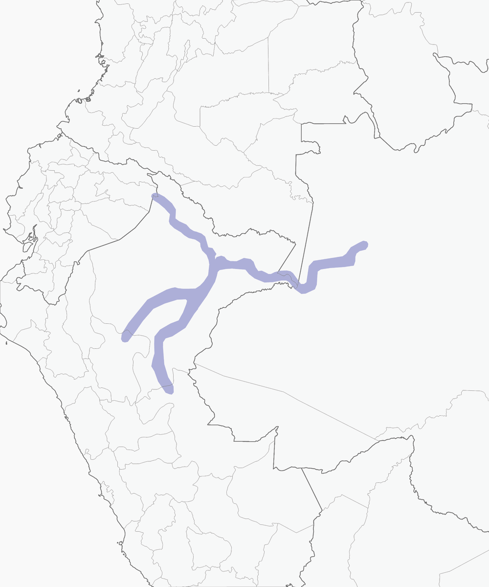 Hornero de pico pálido, Distribución 1