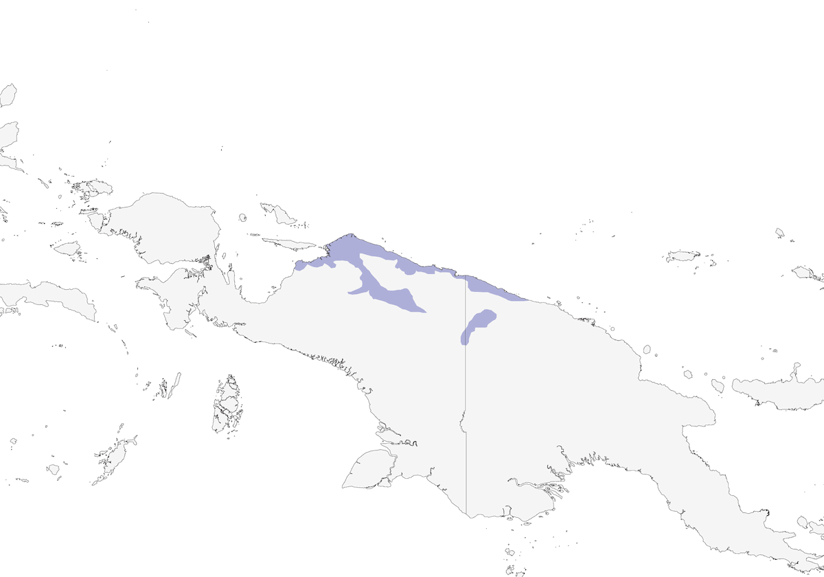 Pale-billed Sicklebill, Distribution 1