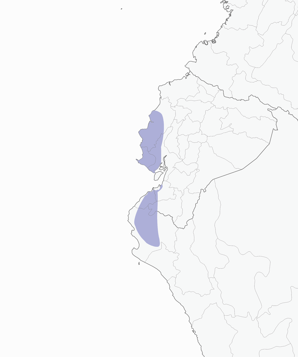 Pale-browed Tinamou, Distribution 1