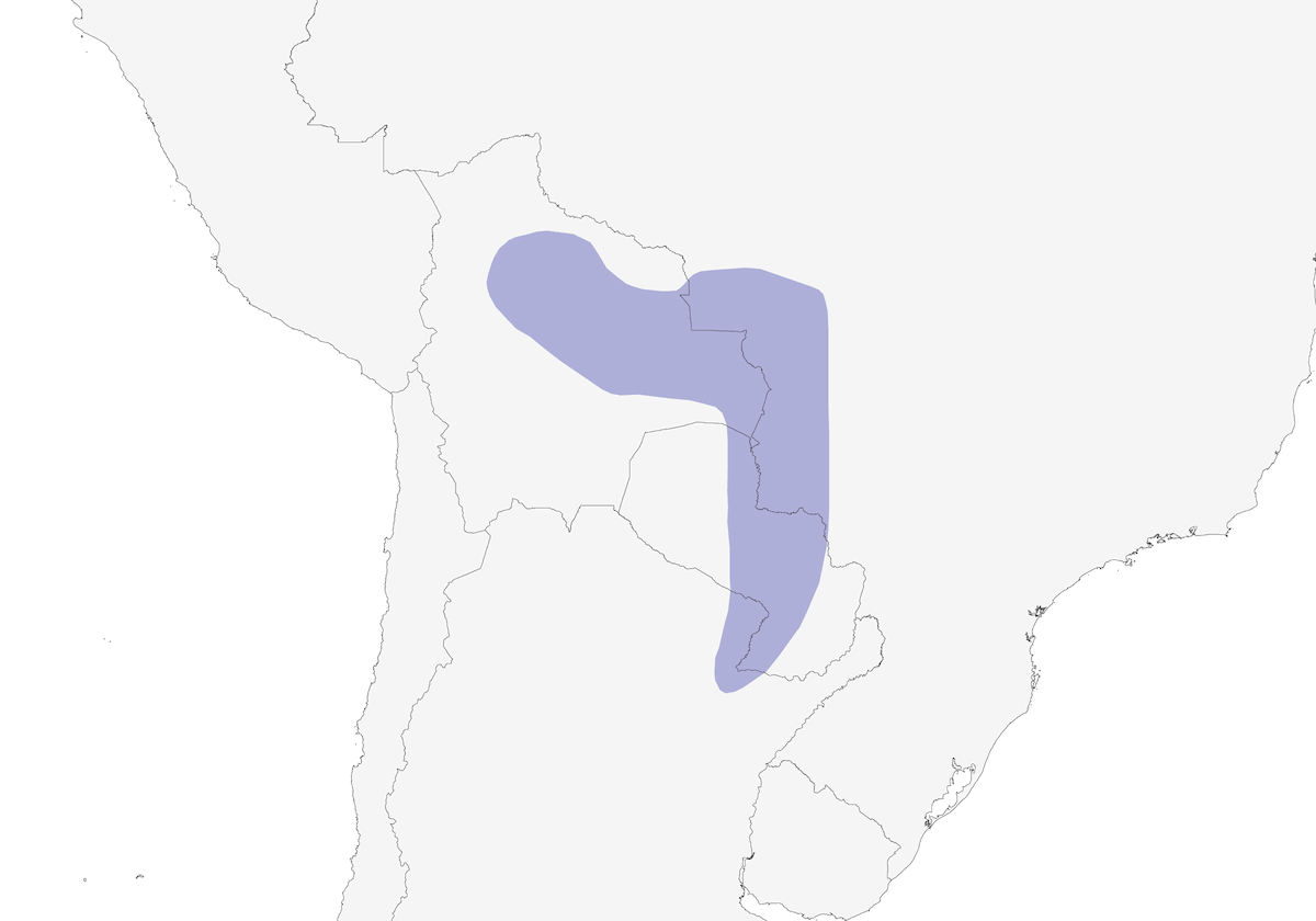 Pale-crested Woodpecker, Distribution 1