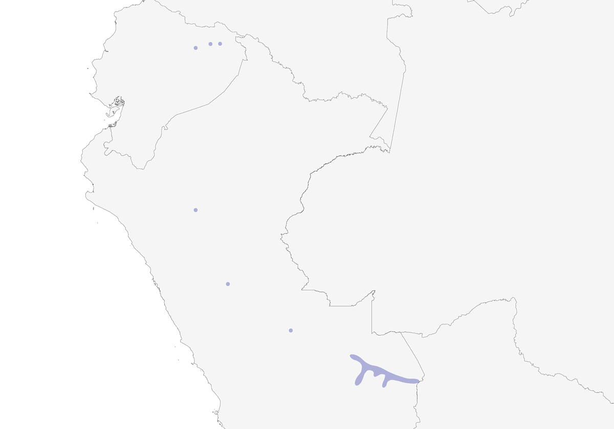 Mirlo de Ojos Pálidos, Distribución 1
