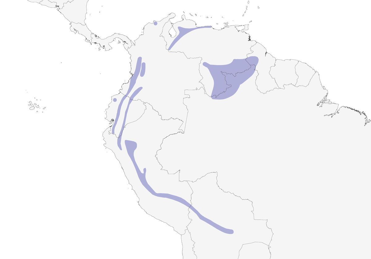 Pale-eyed Thrush, Distribution 1