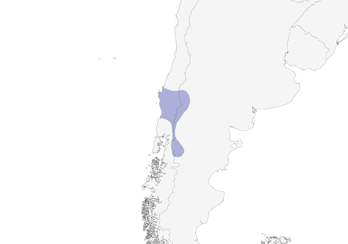 Patagonien-Walderdbeerkleiber, Verbreitung 1