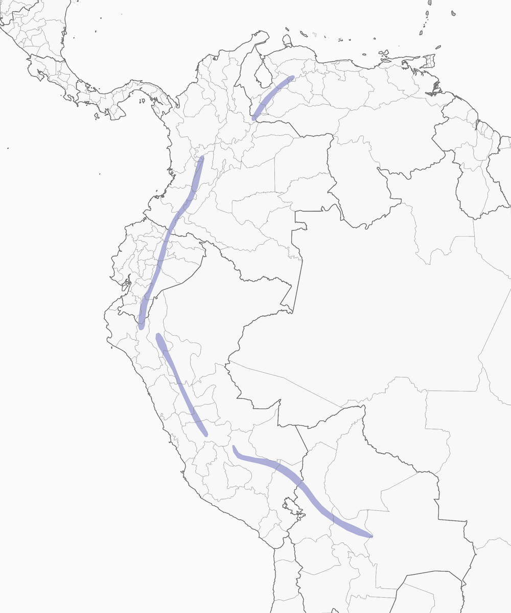Pale-footed Swallow, Distribution 1