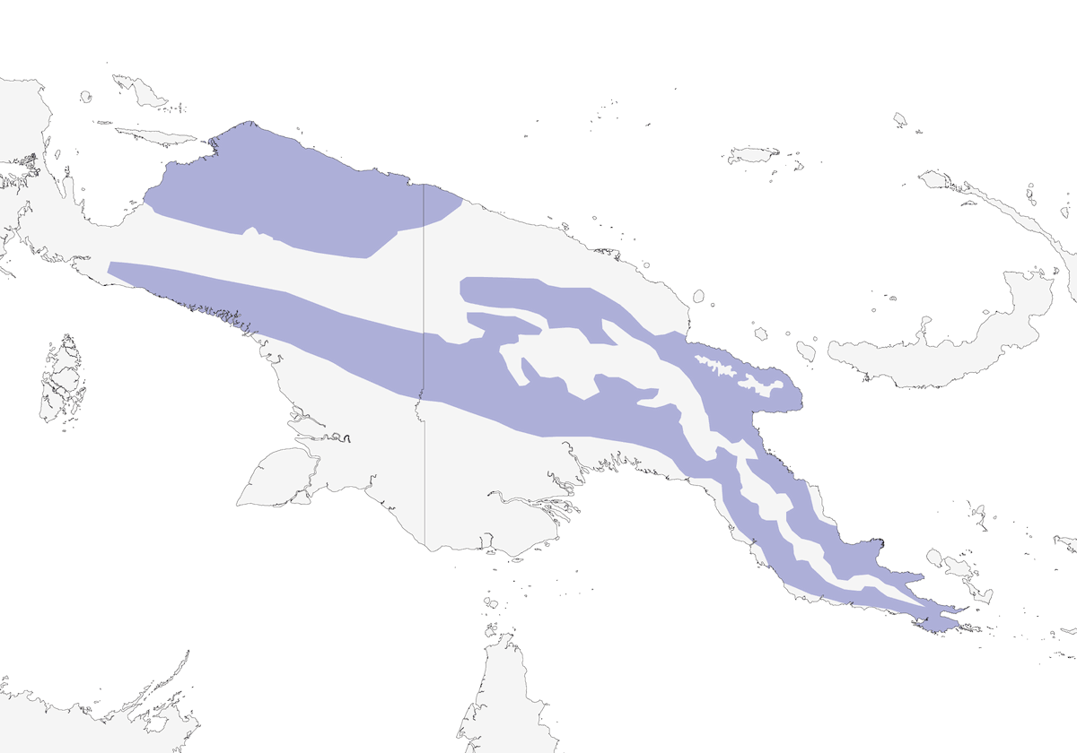 Papua-Königspapagei, Verbreitung 1