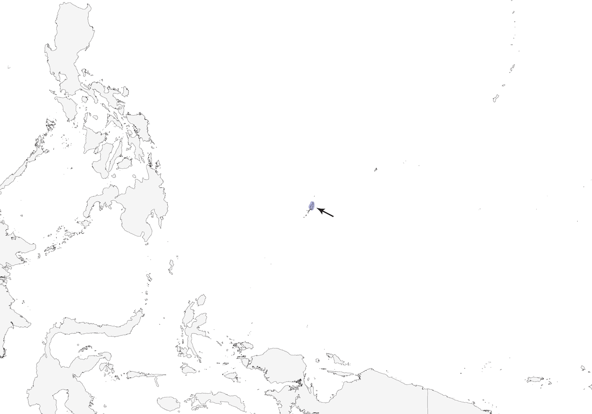 Palau Nightjar, Distribution 1
