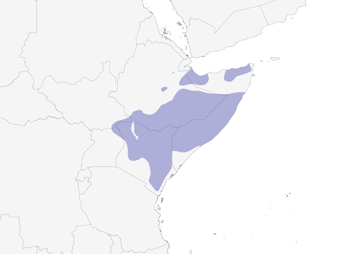 Prinia pallida, Distribuzione 1