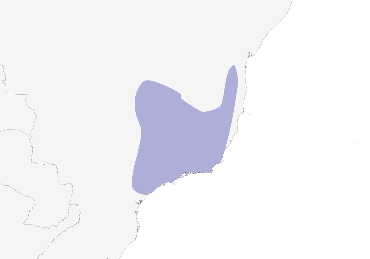 Colaespina Pálida, Distribución 1