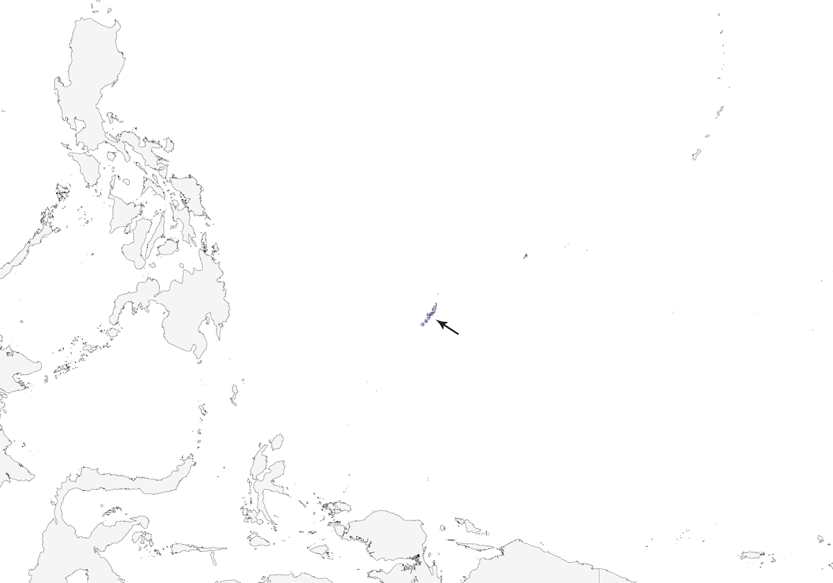Salangana di Palau, Distribuzione 1