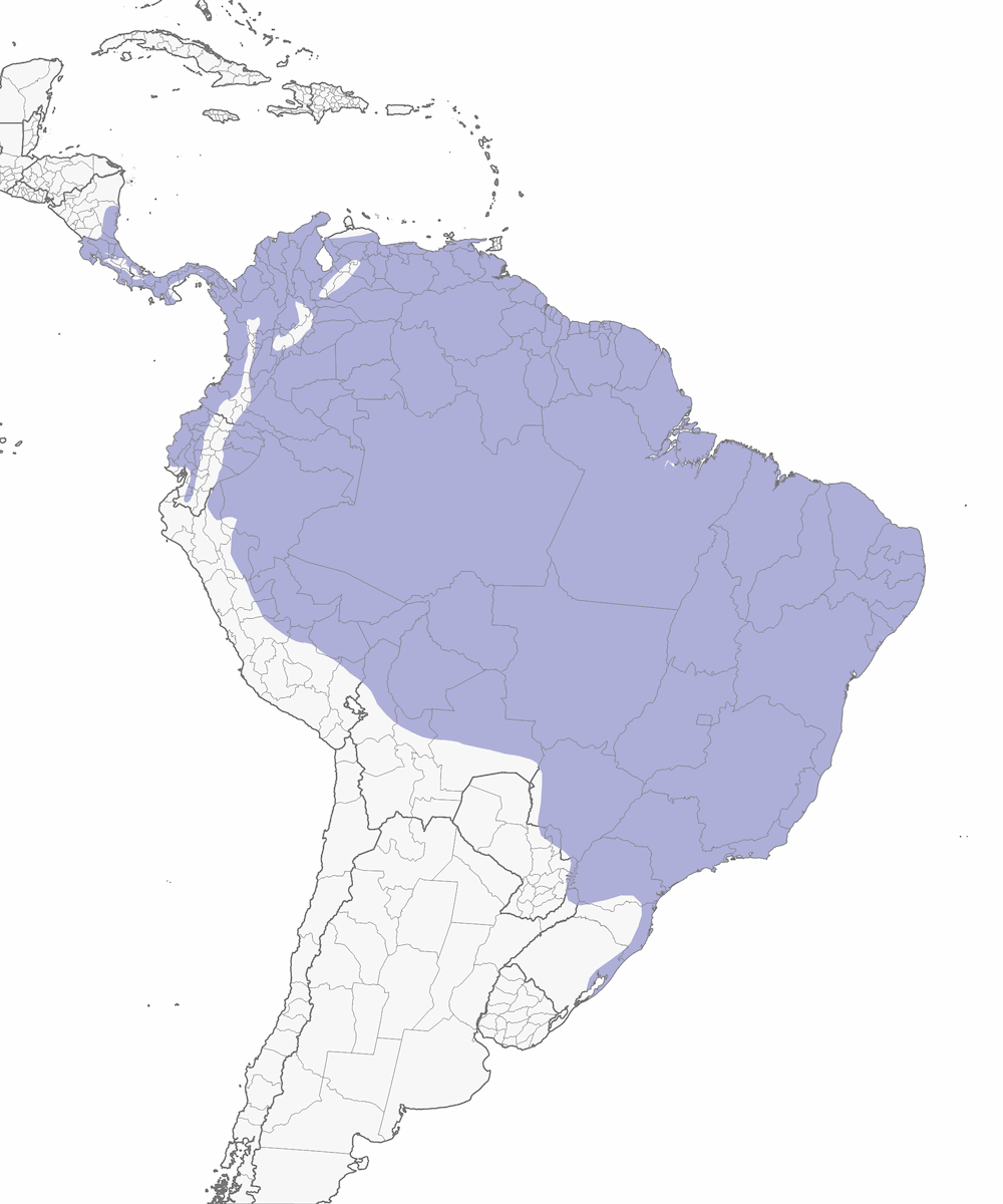 Palm Tanager, Distribution 1