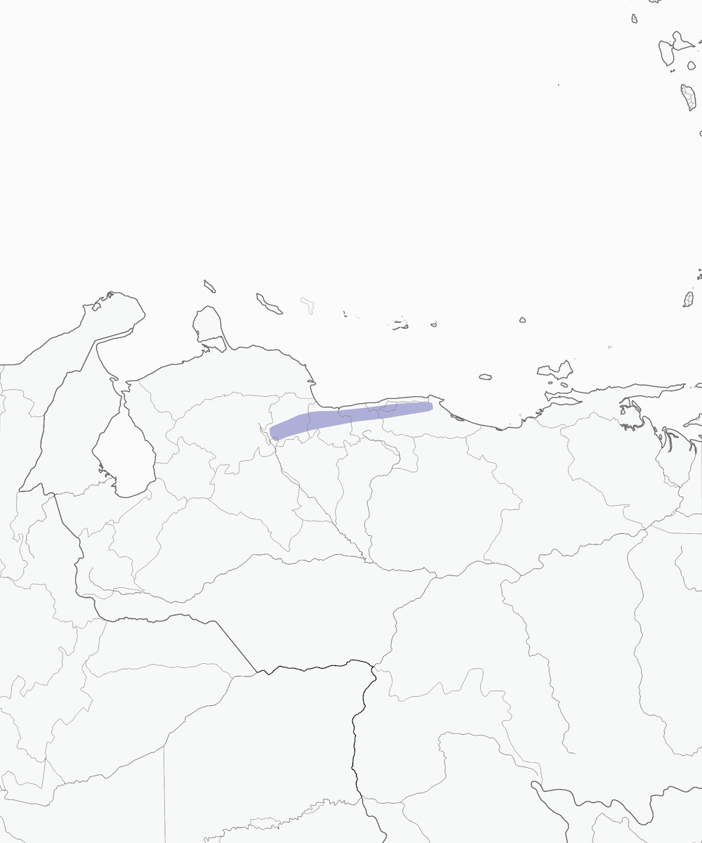 Venezuela-Kleintyrann, Verbreitung 1