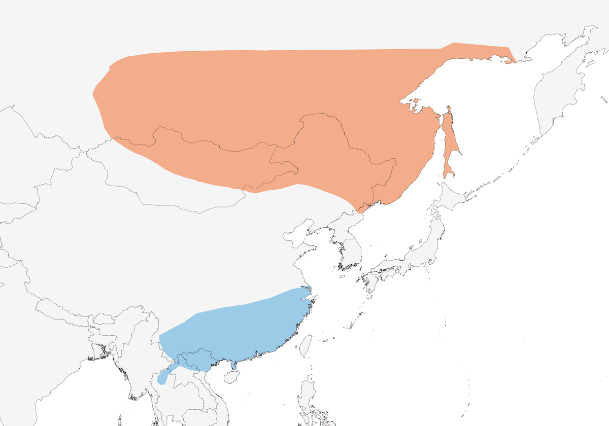 Luì di Pallas, Distribuzione 1