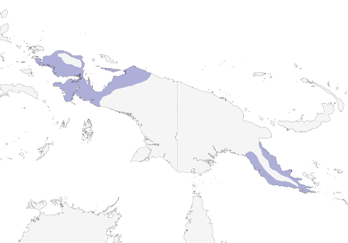 Gufo papua, Distribuzione 1