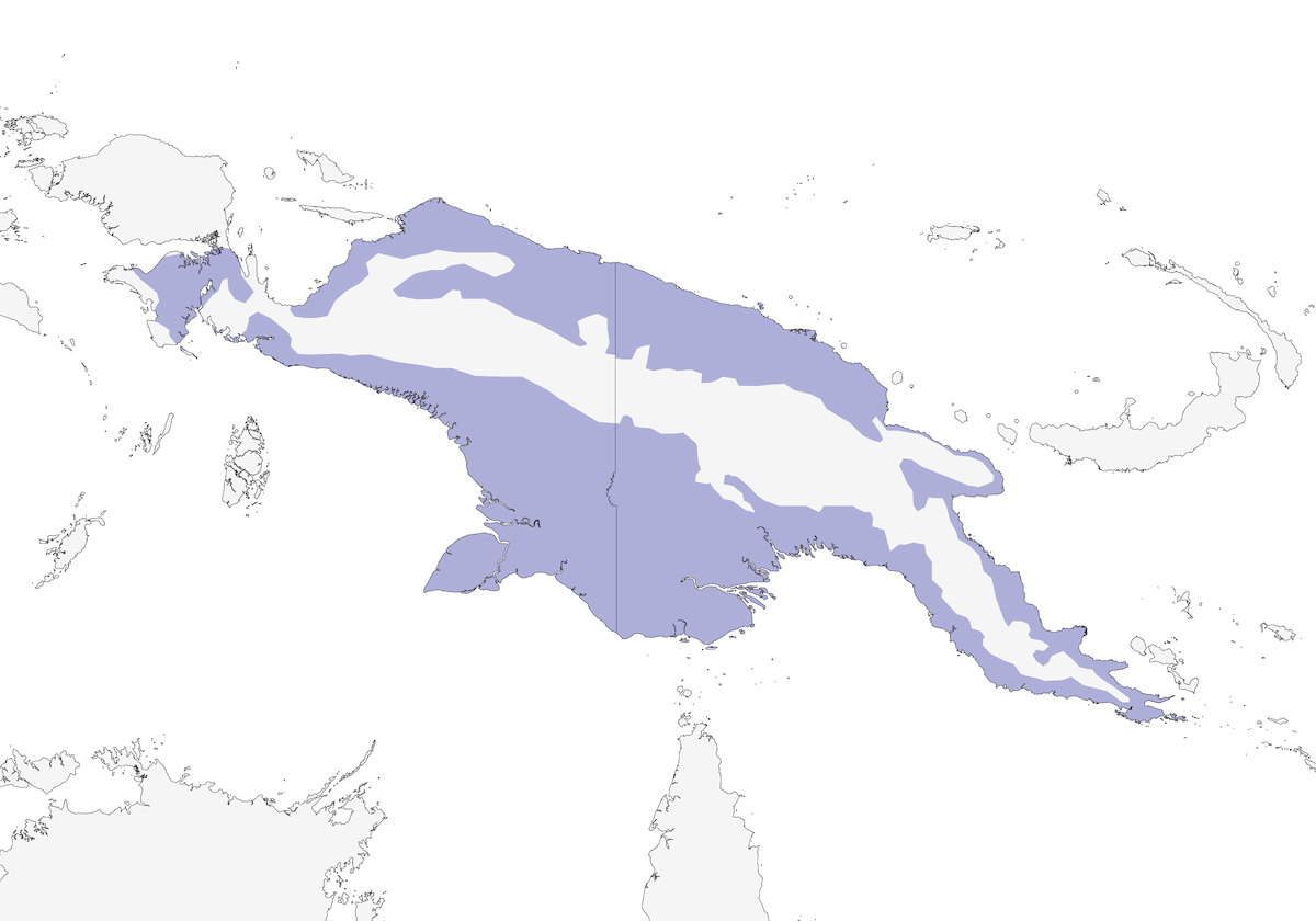 Martinet papou, Distribution 1