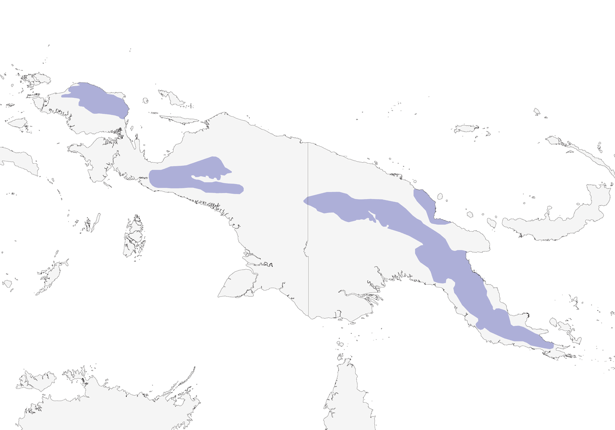 Papuan Parrotfinch, Distribution 1