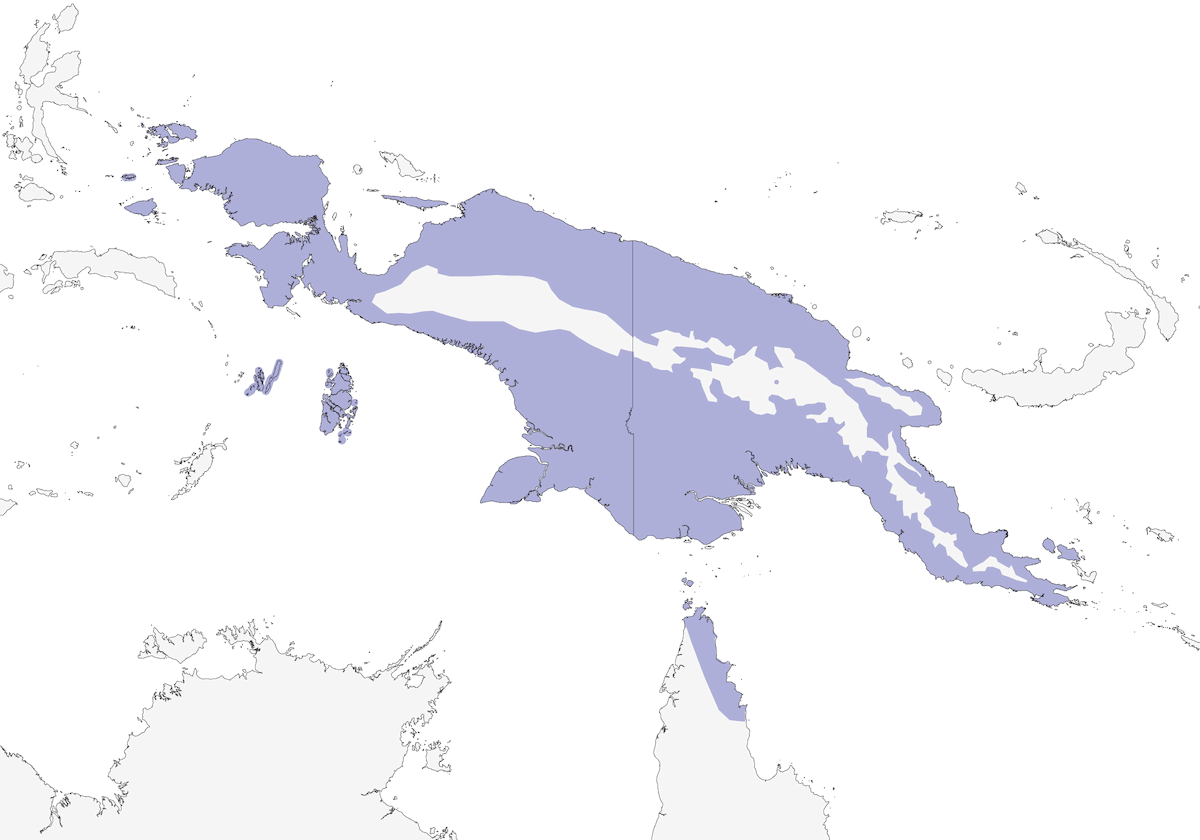 Papua-Pitta, Verbreitung 1