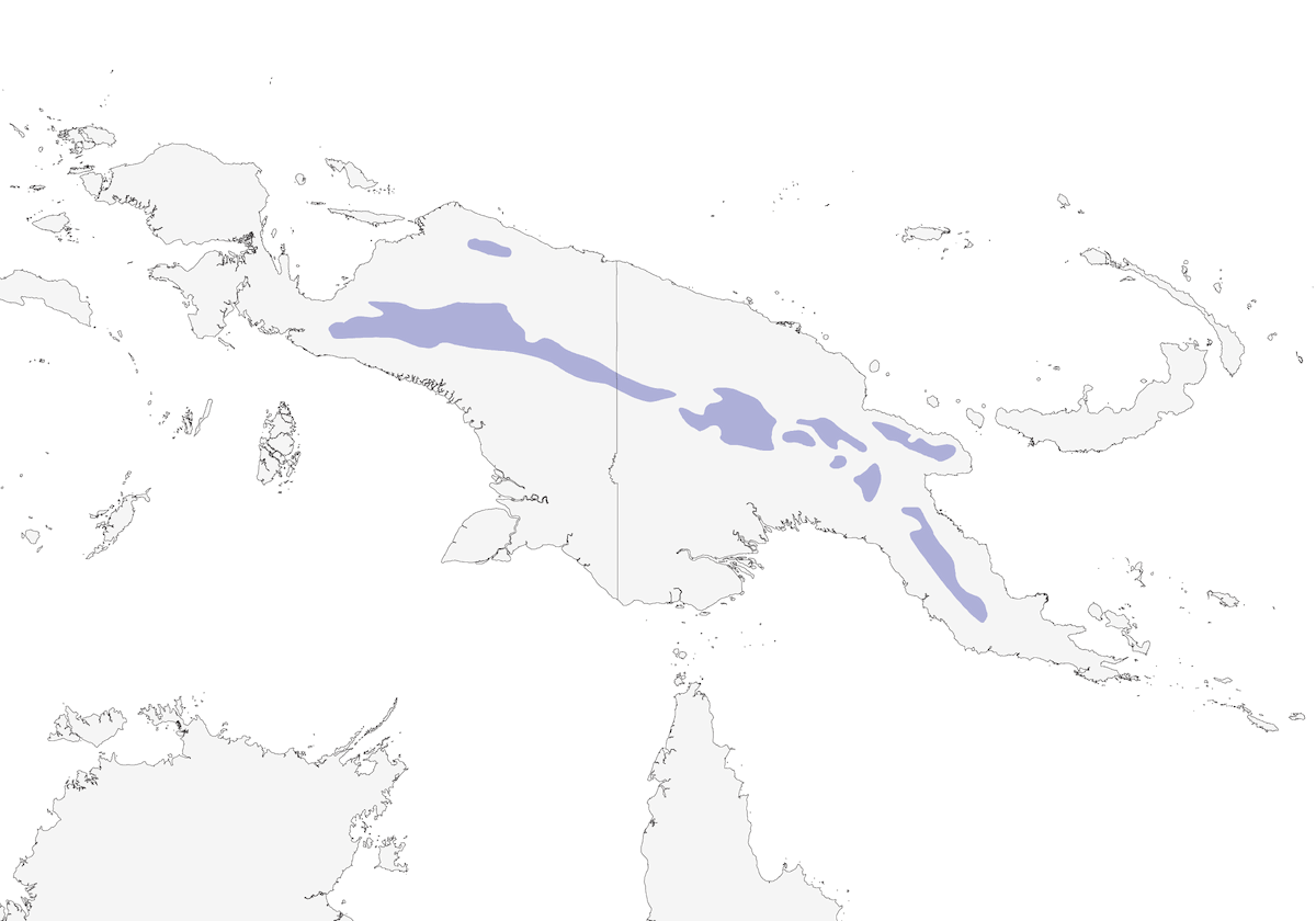 Papua-Dornsänger, Verbreitung 1
