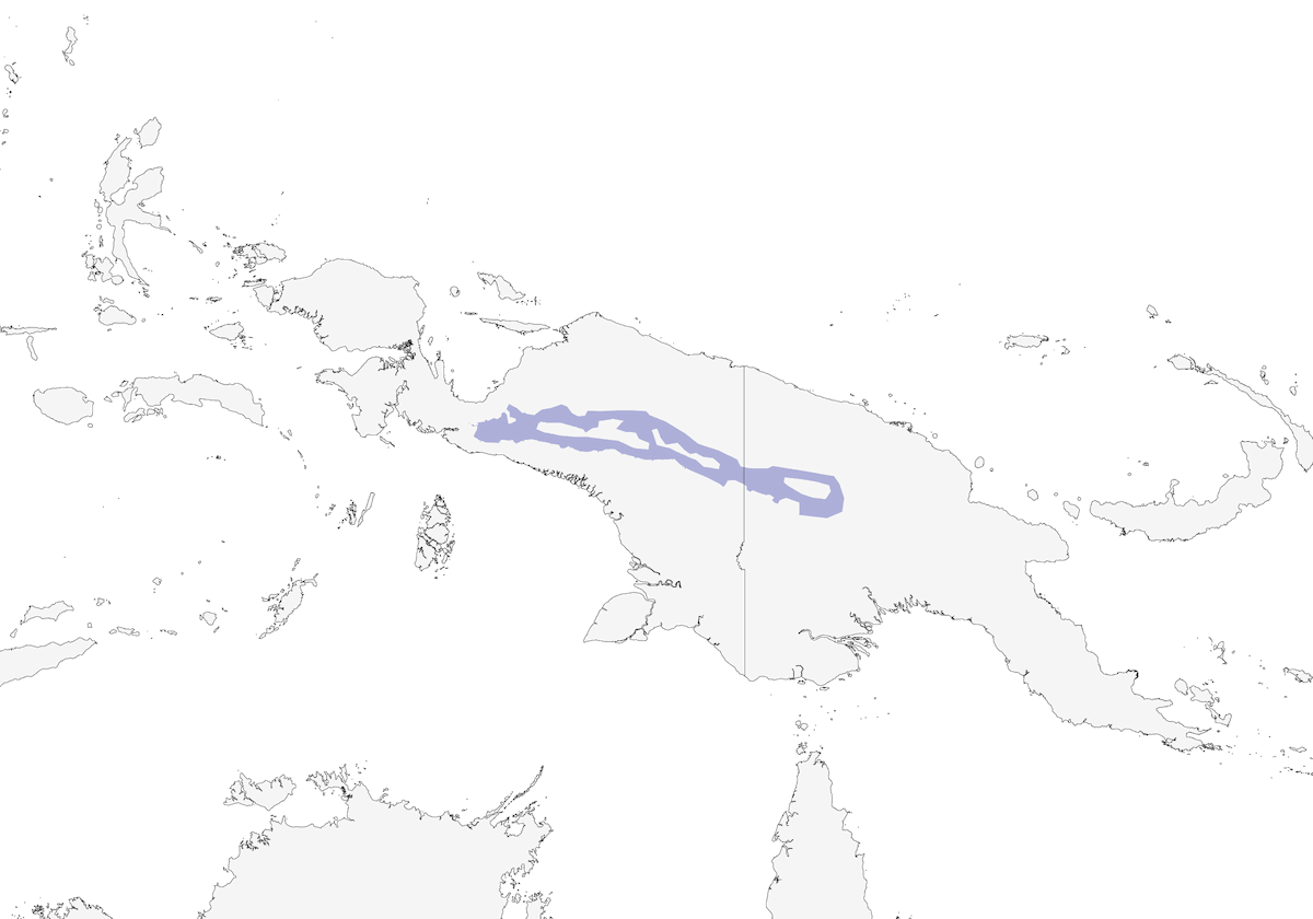 Frustino della Papua, Distribuzione 1