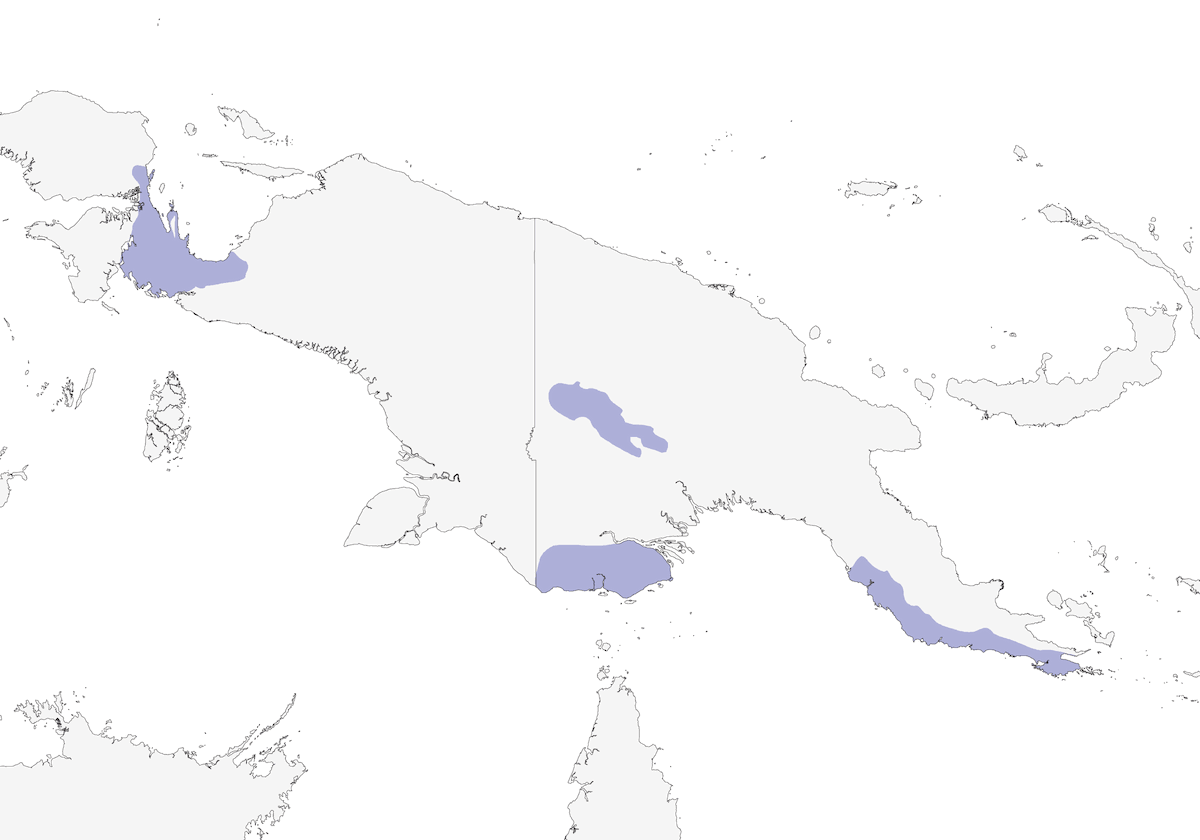 Cinclosoma Pintado, Distribución 1