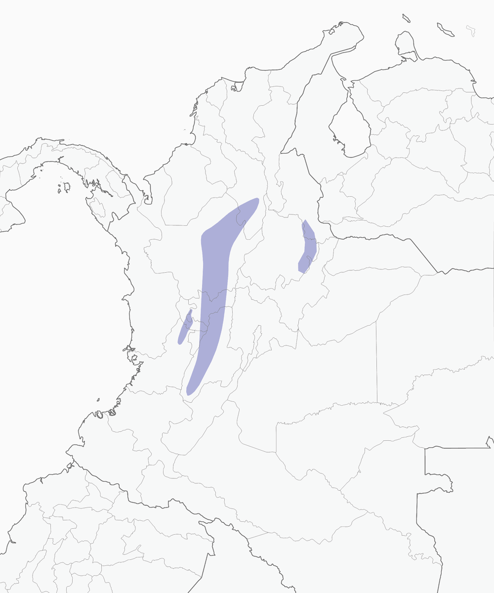 Parker-Ameisenvogel, Verbreitung 1