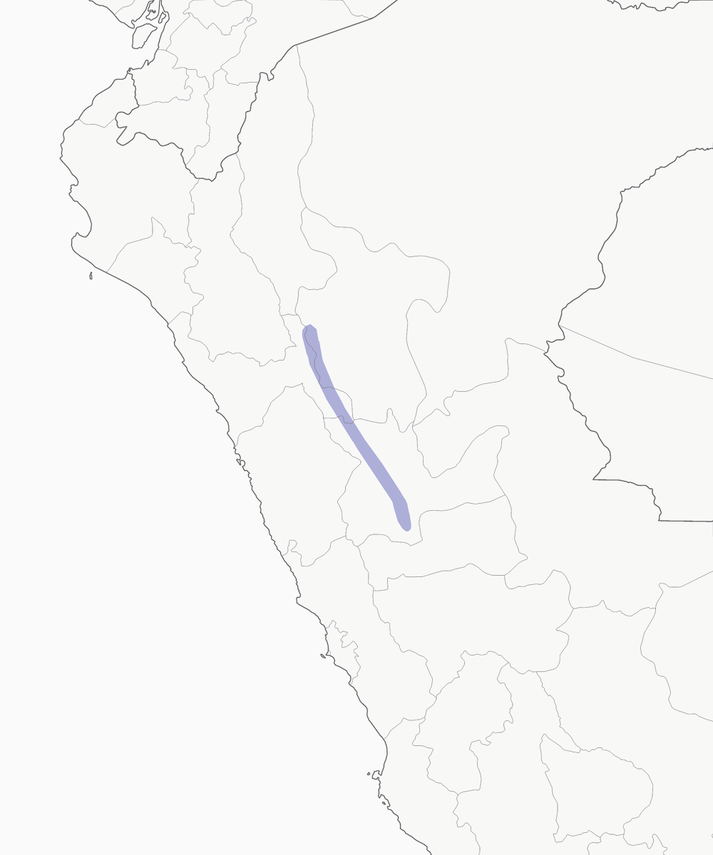 Pardusco, 分布 1