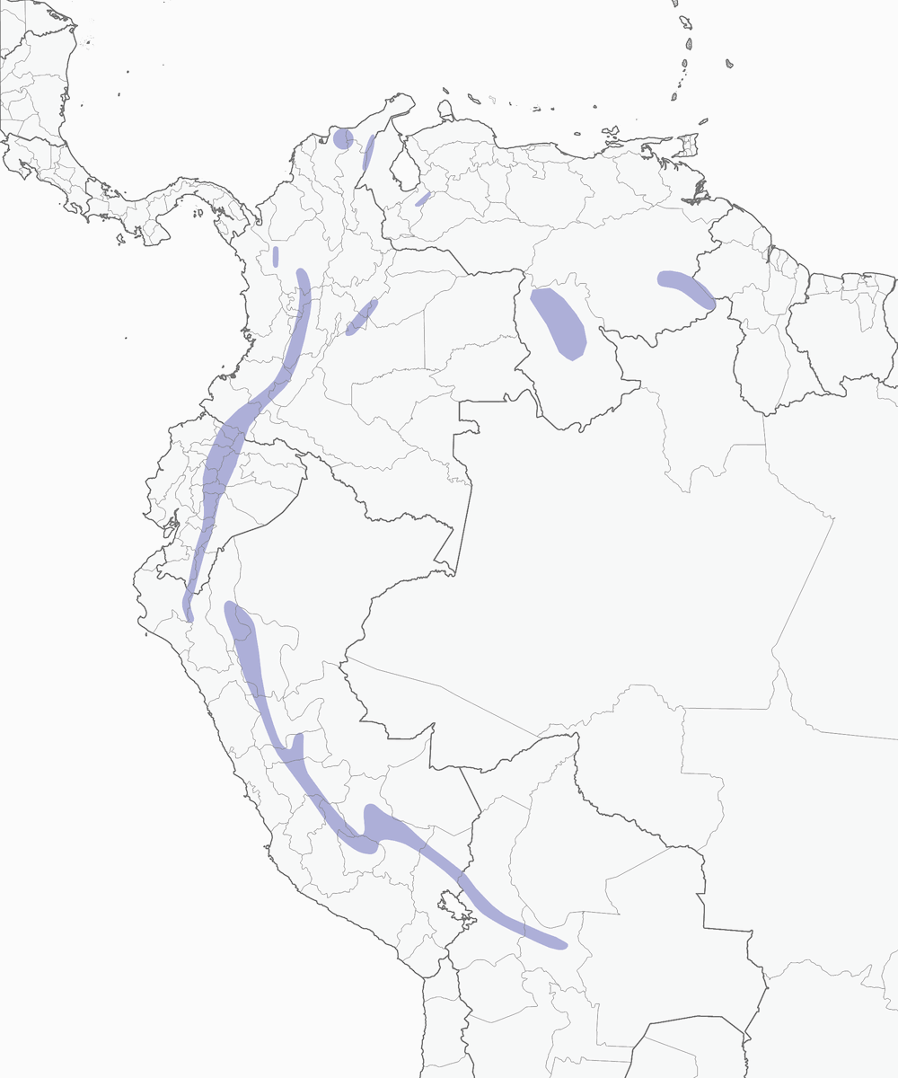Paramo Seedeater, Distribution 1