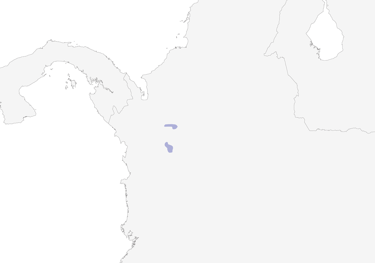 Tapaculo de Paramillo, Distribución 1