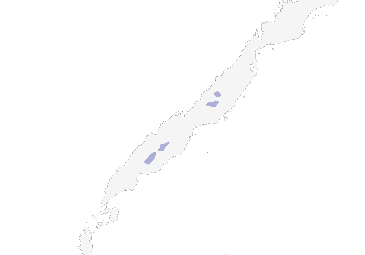 Palawan Striped-Babbler, Distribution 1