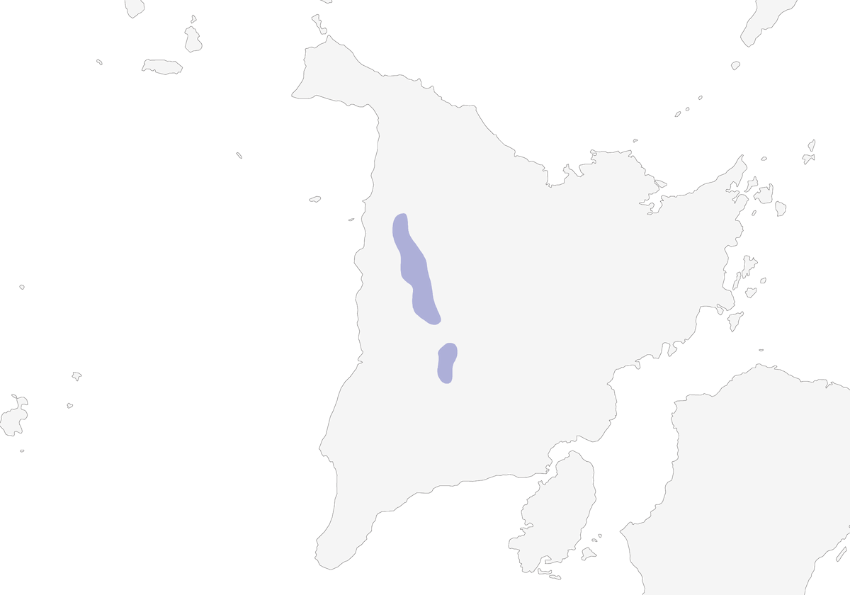 Garrulo striato di Panay, Distribuzione 1