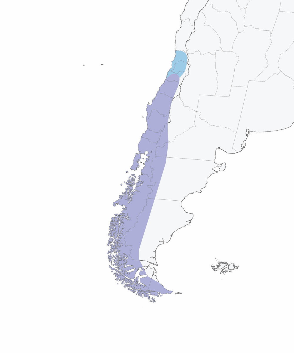 Patagonien-Bergtangare, Verbreitung 1