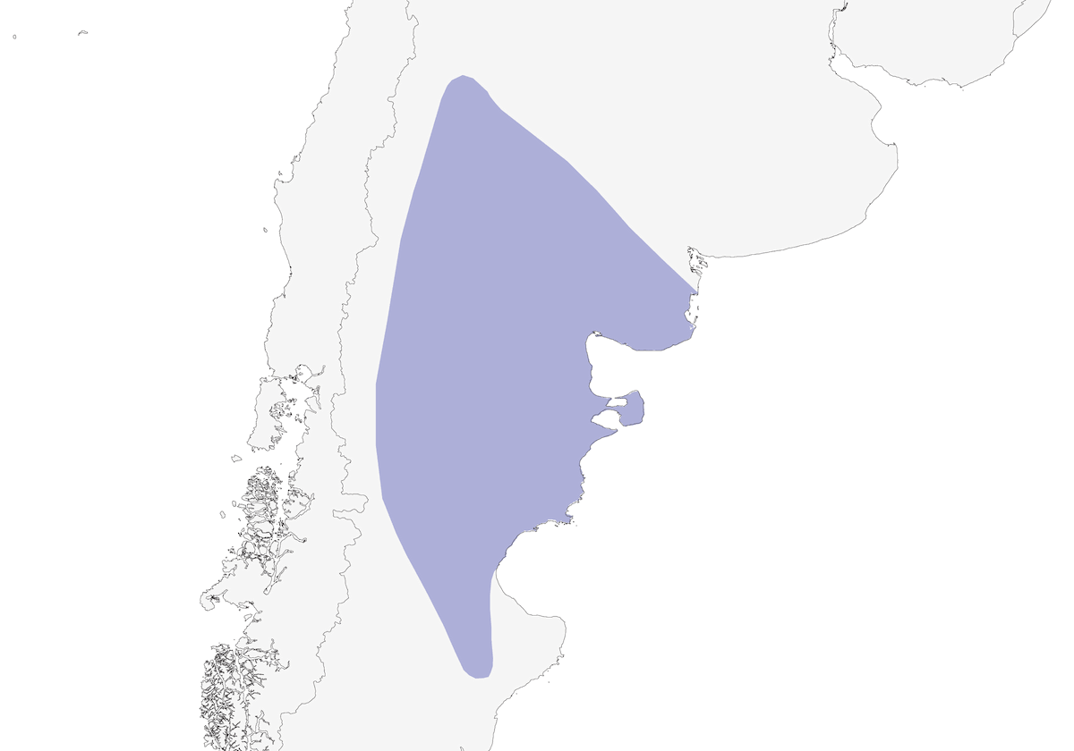 Patagonian Canastero, 分布 1