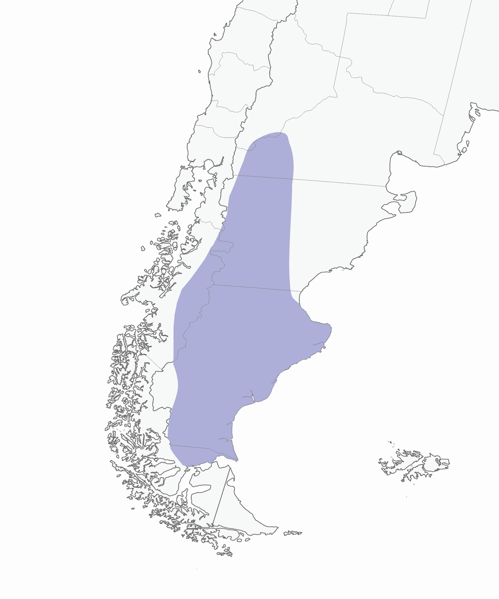 Tinamo patagonico, Distribuzione 1
