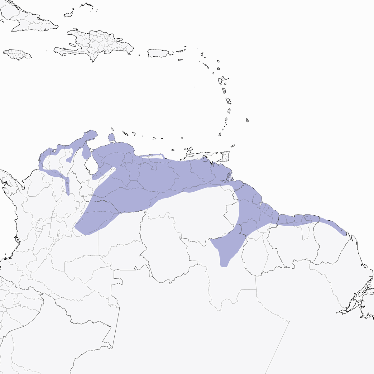 Mosquerito de punta pálida, Distribución 1